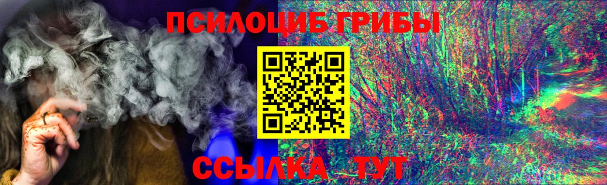 Псилоцибиновые грибы мицелий Кольчугино