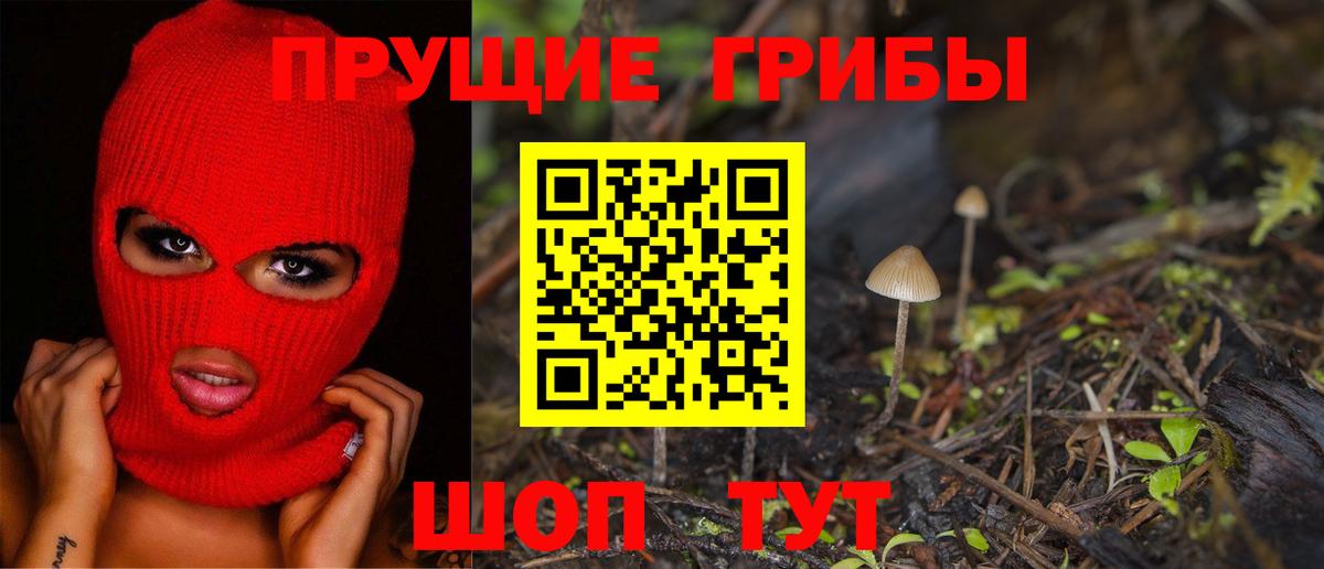 Кольчугино  Псилоцибиновые грибы Psilocybe  Вход с VPN 